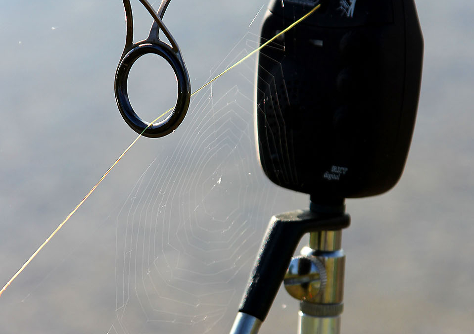 Nächste Vereinsversammlung 05.06.2026